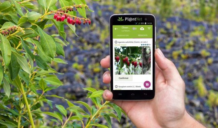 Best free plant identification app