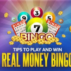 Bingo games to win real money